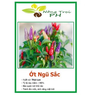 Hạt giống ớt ngũ sắc f1 dễ trồng