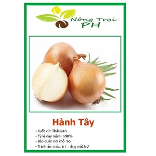 Hạt giống hành tây f1