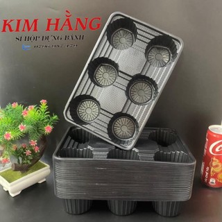 100 khay 6 ô đen đựng ly trà sữa , khay đựng ly chống đỗ , khay đựng 6 ly cafe , sinh tố ,.....