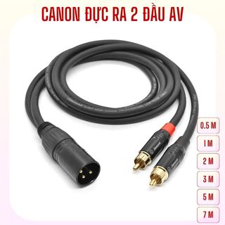 Dây canon đực ra 2 đầu AV