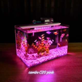 Bể cá mini Đúc uốn cong 30x18x20cm để bàn Với nhiều mẫu lựa chọn có kèm phụ kiện sỏi nền và cây nhựa