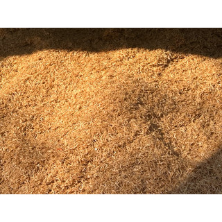 Ruốc khô,tép khô nhà làm (1kg)- con nhỏ