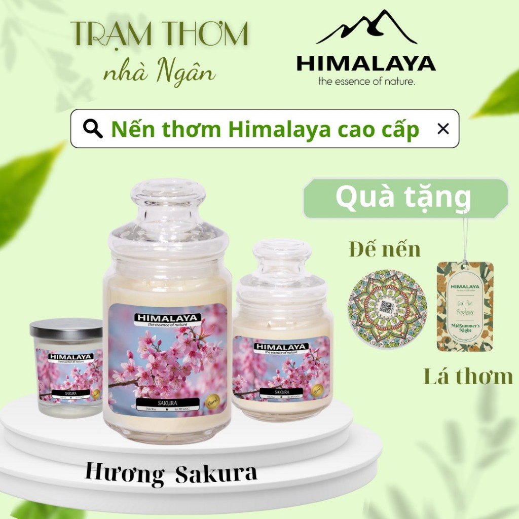 [MUA 1 TẶNG 2] Nến Thơm Phòng Himalaya 140/400/600g Mùi SAKURA Giúp Thư Giãn, Tăn Tập Trung