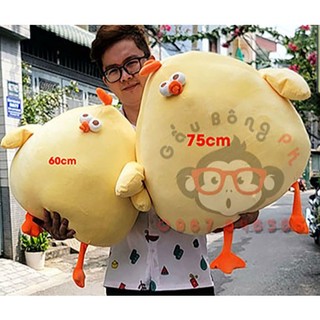 Gấu bông gà bông vàng bụng bự mặt thộn