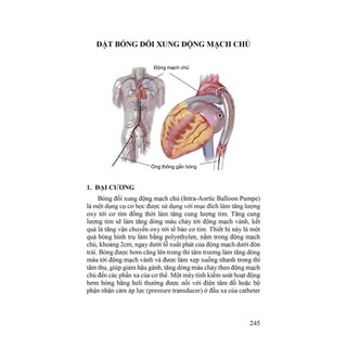 Sách - Thực hành cấp cứu tim mạch (Y)