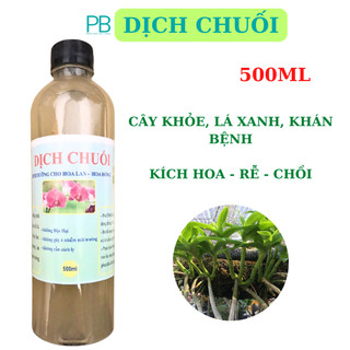 Dịch chuối vi sinh nhà làm 500ml - thần dược cho phong lan hoa hồng
