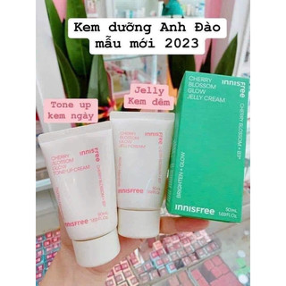 Kem innisfree anh đào mẫu mới