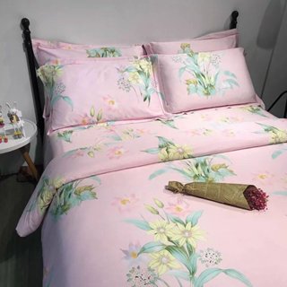 Bộ Chăn Ga Alva Tencel Modal 100% Vải Gỗ Sồi Tự Nhiên