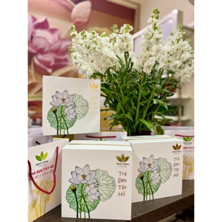 Trà Ướp Sen Tây Hồ 5 búp, 10 búp cao cấp - Trà Sen Minh Cường
