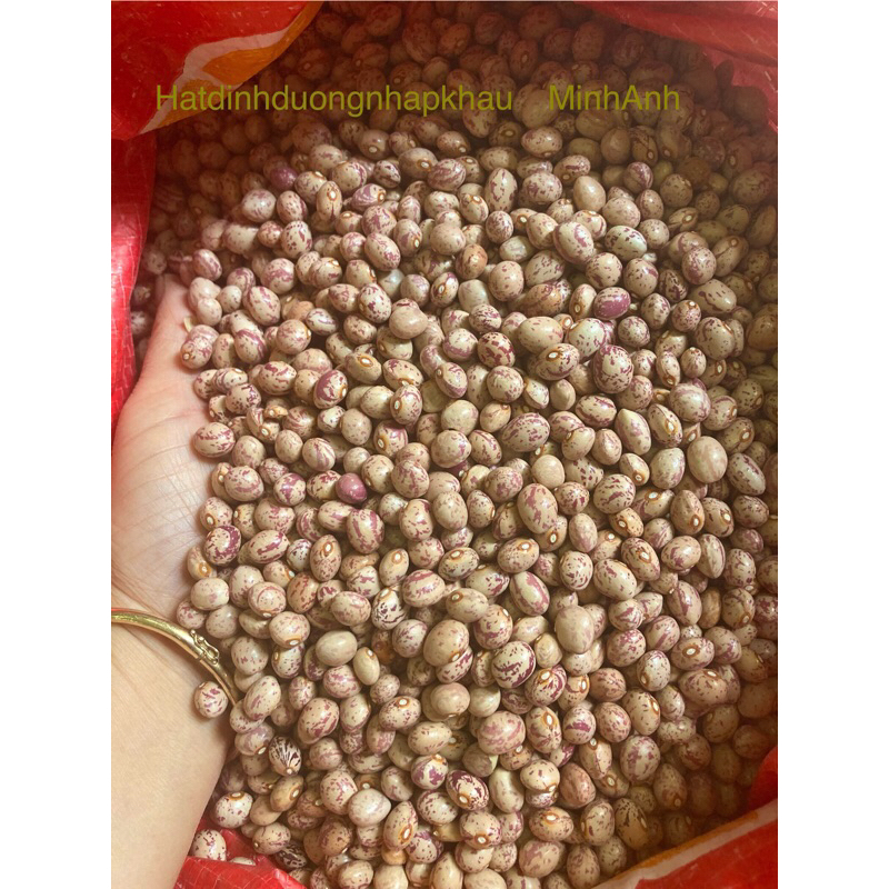 1kg Đậu cúc (Pinto beans) Cúc Đà Lạt & Cúc Aghetina