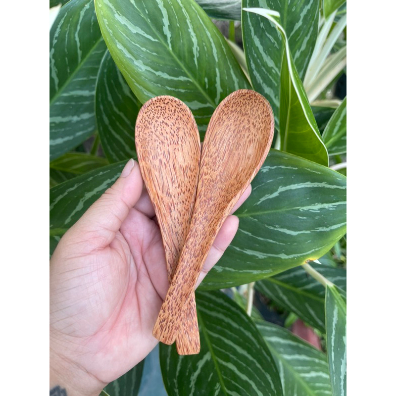 Muỗng ăn cơm gỗ dừa