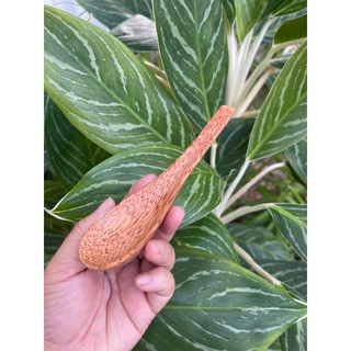 Muỗng ăn cơm gỗ dừa