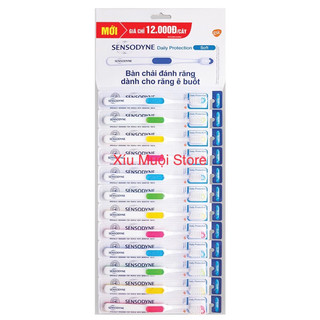 Bộ 12 bàn chải đánh răng Sensodyne Daily Protection Soft dành cho răng ê buốt