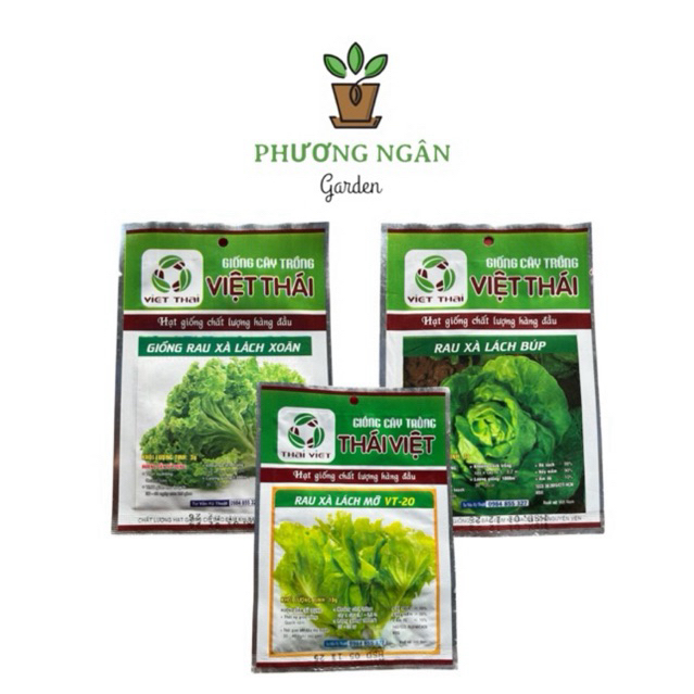 Hạt Giống Rau Xà Lách