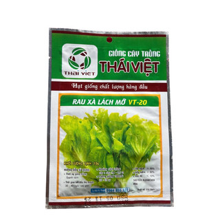Hạt Giống Rau Xà Lách