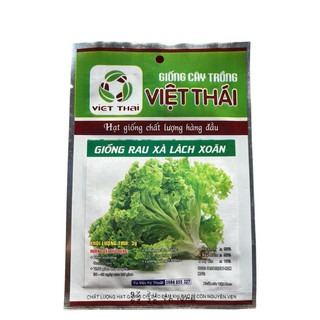 Hạt Giống Rau Xà Lách