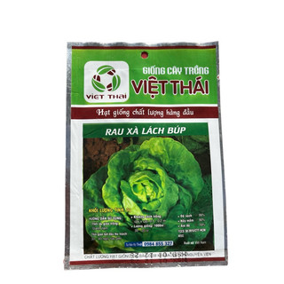 Hạt Giống Rau Xà Lách