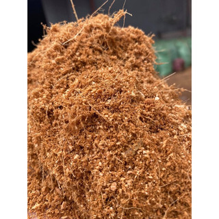 Mụn Dừa Hữu Cơ Trồng Cây