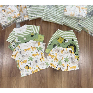 SÉT 3 BỘ CỌC TAY IN CON VẬT SIÊU HOT HIT COTTON 4c cho bé 9-25kg