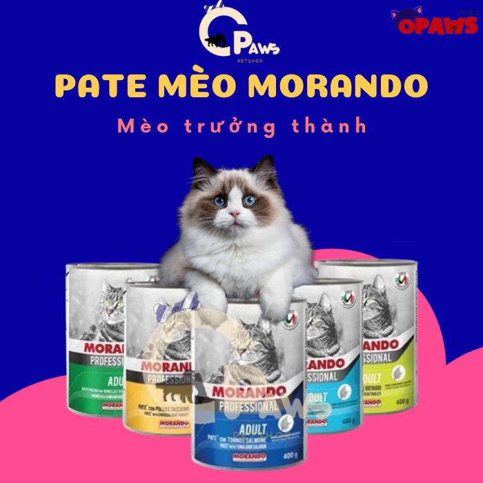 Pate mèo Morando Professional lon 400g