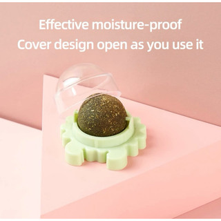 Cỏ catnip bạc hà gắn tường cho mèo ,cỏ bạc hà cho mèo dán tường catnip toy