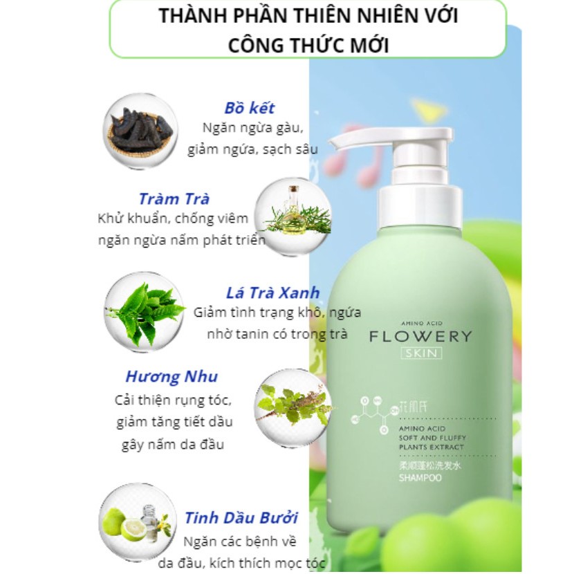 vn 11134207 7r98o lugppok5zjfpbe