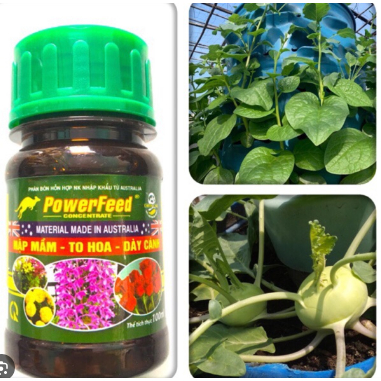 Phân đạm cá Powerfeed- lọ 100ml