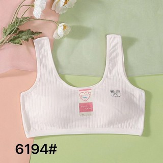 COMBO 2 ÁO LÁ COTTON PHỐI LƯỚI  MÚT THÁO RỜI  (<50KG)