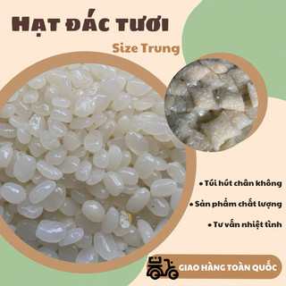 1kg Hạt Đác Tươi Size Trung dẻo ngon, làm topping, ăn vặt, nấu chè ( kèm theo giấy hướng dẫn )