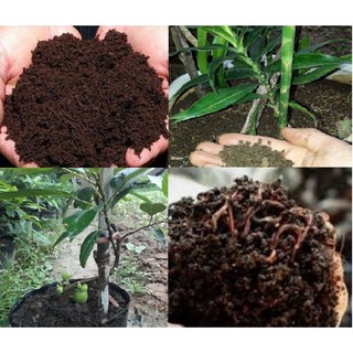 Phân bón hữu cơ trùn quế, Phân trùn quế