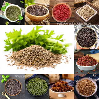 Hạt thì là ấn độ organic 100g