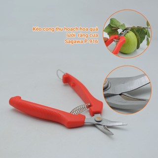 Kéo thu hoạch hoa quả mũi cong sagawa p-918 180mm, p-916 160mm