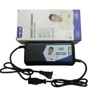 Sạc xe điện 48V - 20ah, 30ah cho xe rùa 133s/133S Pluss tự ngắt thông minh Báo dung lượng số hiện đại