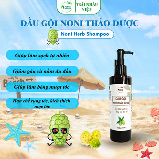 Dầu gội thảo mộc - trái nhàu thiên nhiên nhà adeva noni