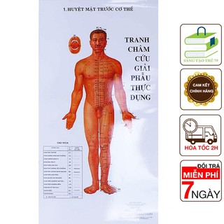 Sách - tranh châm cứu giải phẫu thực dụng