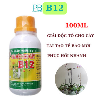Thuốc b12 giải độc cây 100ml vitamin b12
