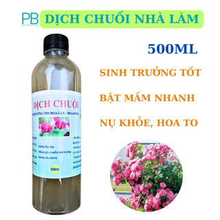 Dich chuối tưới lan 500ml 100% Organic dịch chuối tưới cây nhà làm