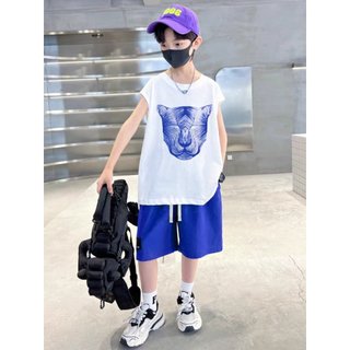 Bộ quần áo trẻ em dành cho bé trai 18-45kg mẫu MẶT HỔ. Chất liệu đẹp, co dãn tốt. HE31