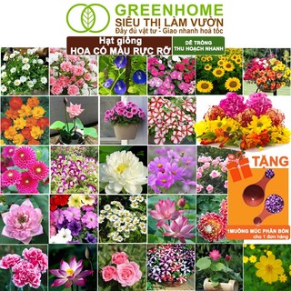 Hạt Giống Hoa Greenhome, Nhiều Loại, Rực Rỡ, Trồng Chậu, Dễ Trồng, Trồng Quanh Năm, Nhanh Ra Hoa