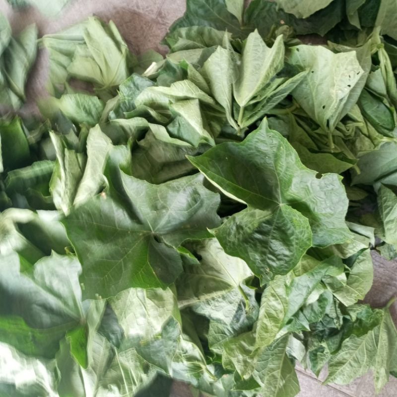 1kg lá mướp tươi