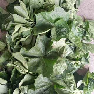 1kg lá mướp tươi