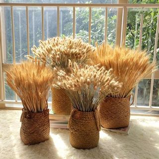 BÓ LÚA MẠCH cắm lọ decor shop, nhà cửa chụp ảnh food. HOA khô phụ kiện chụp ảnh xinh lung linh