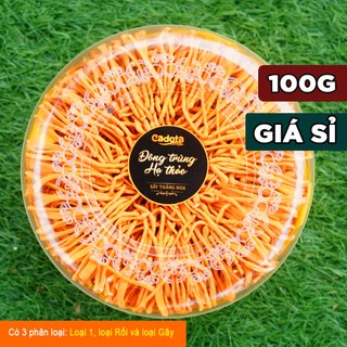 Đông Trùng Hạ Thảo Sấy Thăng Hoa CADOTA, Hũ 100g, Bán Lẻ Giá Sỉ