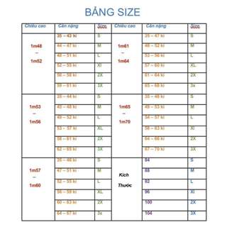 AN13- ÁO KIỂU CÔNG SỞ KIỂU MỚI