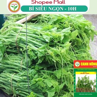 Hạt giống bí siêu ngọn rado 011 siêu đọt, giòn, ngọt, dễ chăm, trồng quanh năm - hạt giống canh nông