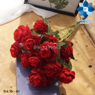 Hoa Giả, Hoa Trà Mao Lương Cành 3 Bônng