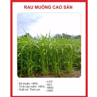 Hạt giống rau muống trồng trên cạn -gói 50 gram