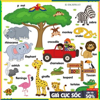 ⚡ FREESHIP ⚡ SALE  30 mẫu decal, tranh dán tường các con vật cho bé học tiếng anh, hình sticker dán tường cho bé