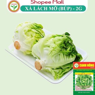 Hạt giống xà lách búp - xà lách mỡ giống xà lách đăm dễ trồng, nhanh thu hoạch - hạt giống canh nông