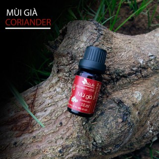 Tinh Dầu Mùi Già - Hương Vị Tết Việt Nam - Tinh Dầu Hà Na - Xông nhà, khử mùi, tắm tết